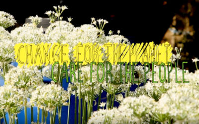 Soluções para a população em prol do ambiente e da agricultura