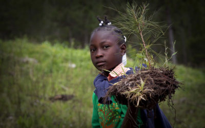 Ajuda Pública ao Desenvolvimento: celebramos?