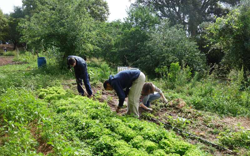 Step 1 in moving towards more sustainable lifestyles: Thinking about the food we eat