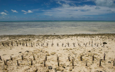 As alterações climáticas não são “fake news”