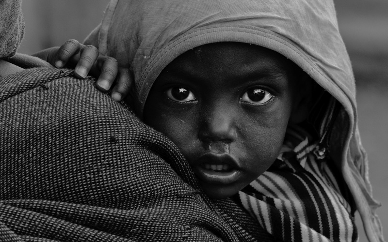 O gosto pela fotografia