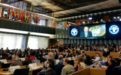 Não deixar ninguém para trás!