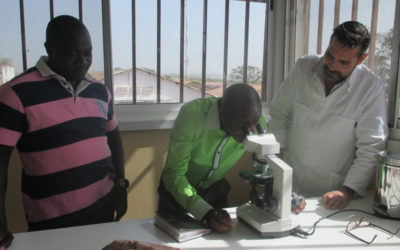 Aposta na componente prática da Assessoria prestada aos Coordenadores Nacionais do Ensino Secundário