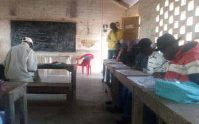 Gestão e administração escolar com bases sólidas no domínio do Português