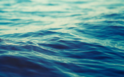 Uma Agenda para o futuro dos nossos Oceanos