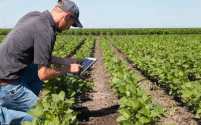 Os Europeus, a Agricultura e a Política Agrícola Comum (PAC)