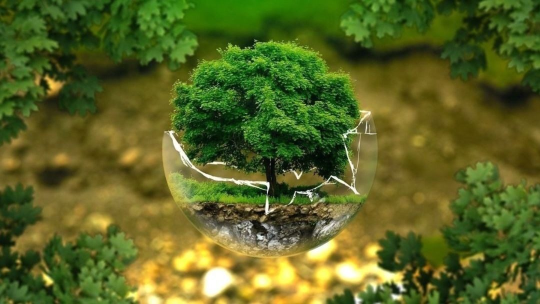 Vaticano promove Conferência Internacional sobre Liderança Ecológica