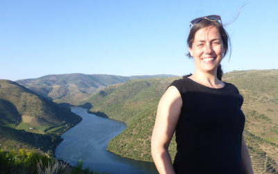 Viajar