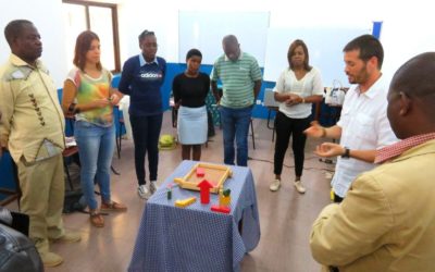 Organizações da Sociedade Civil a desenvolver projetos na área do Desenvolvimento da Primeira Infância reunidas em Moçambique