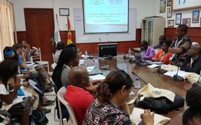 Projeto Othukumana II na Conferência “O Bem-Estar das Crianças e dos Adolescentes em Moçambique”