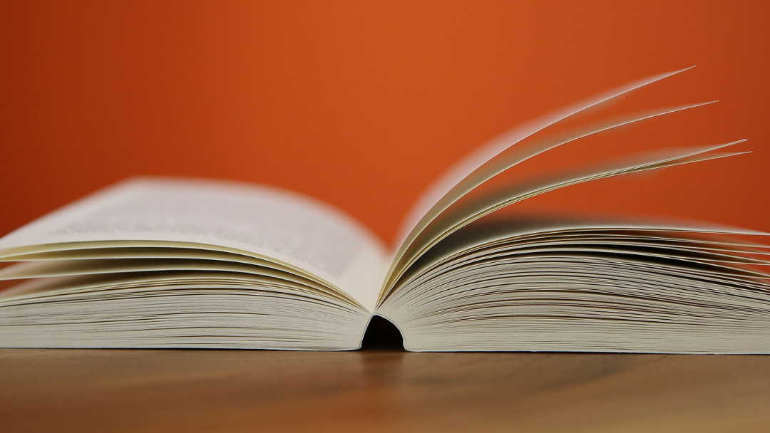 FEC apresenta coletânea de documentação sobre Proteção Social da Criança