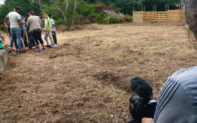 Alterações climáticas em destaque na nova produção de Patrícia Pedrosa