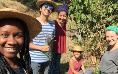 Voluntárias da FEC participam em Encontro sobre Ecologia Integral