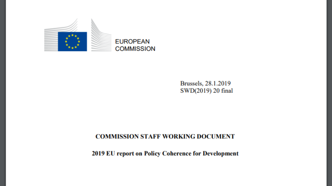 Coerência das Políticas para o Desenvolvimento: Relatório da CE