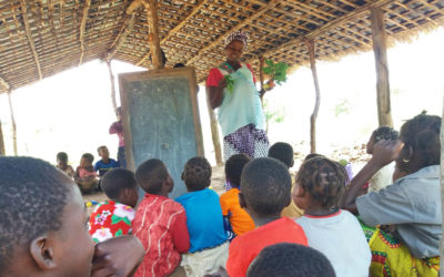 Reconstrução das Escolinhas Comunitárias da Zona de Massamba – Província de Niassa, Moçambique