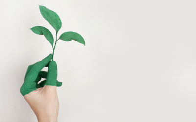 A que nos referimos quando falamos de sustentabilidade?