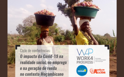 Ciclo de conferências on-line “O impacto da COVID-19 na realidade social, no emprego e na geração de renda no contexto de Moçambique “