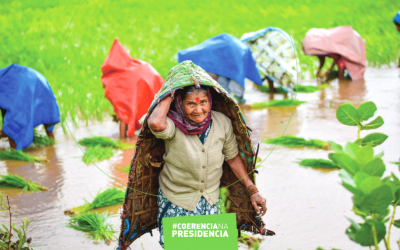 Novo Policy Paper: Desenvolvimento e Segurança alimentar e nutricional: perspetivas e (des)equilíbrios