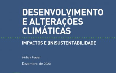 Desenvolvimento e Alterações Climáticas: impactos e (in)sustentabilidade