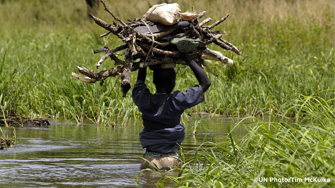 CARTA ABERTA À PRESIDÊNCIA PORTUGUESA DA UE PEDE JUSTIÇA CLIMÁTICA