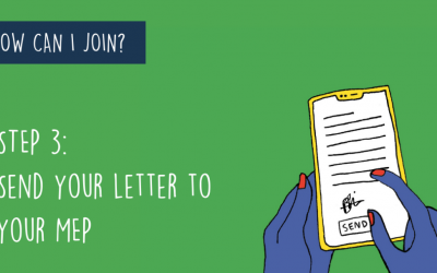 Carta Enviada aos Eurodeputados Portugueses Levanta Preocupações Sobre Impunidade de Multinacionais na Violação de Direitos Humanos