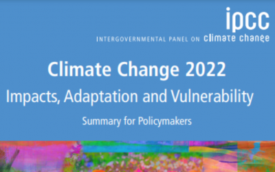 6 Grandes Descobertas do Relatório do IPCC 2022 sobre Impactos Climáticos, Adaptação e Vulnerabilidade