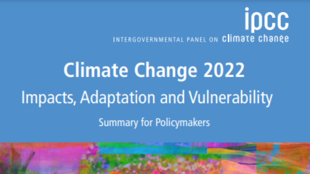 6 Grandes Descobertas do Relatório do IPCC 2022 sobre Impactos Climáticos, Adaptação e Vulnerabilidade