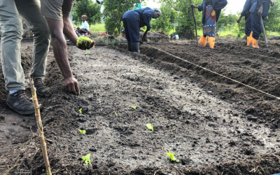 Formações em Agricultura Biológica e Construção Resiliente no Bairro da Manga Mascarenhas