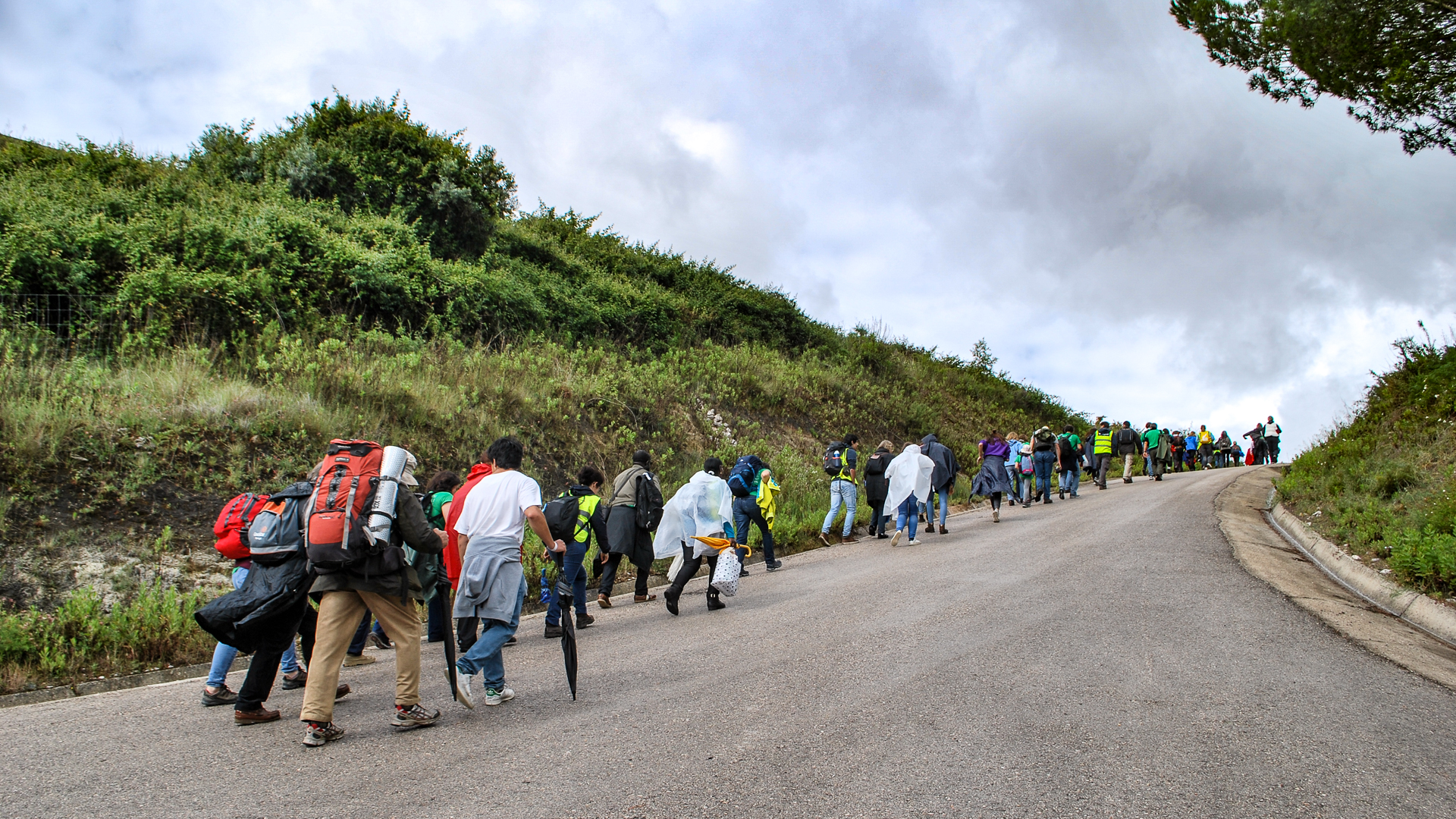 34179258633_5d579024ba_o-2